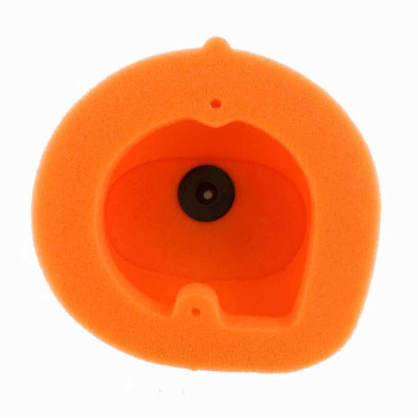 Twin Air Air Filter 151116_598284