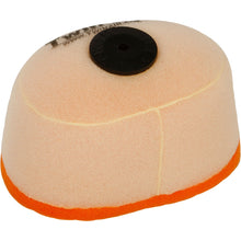 Twin Air Air Filter 151602_279246