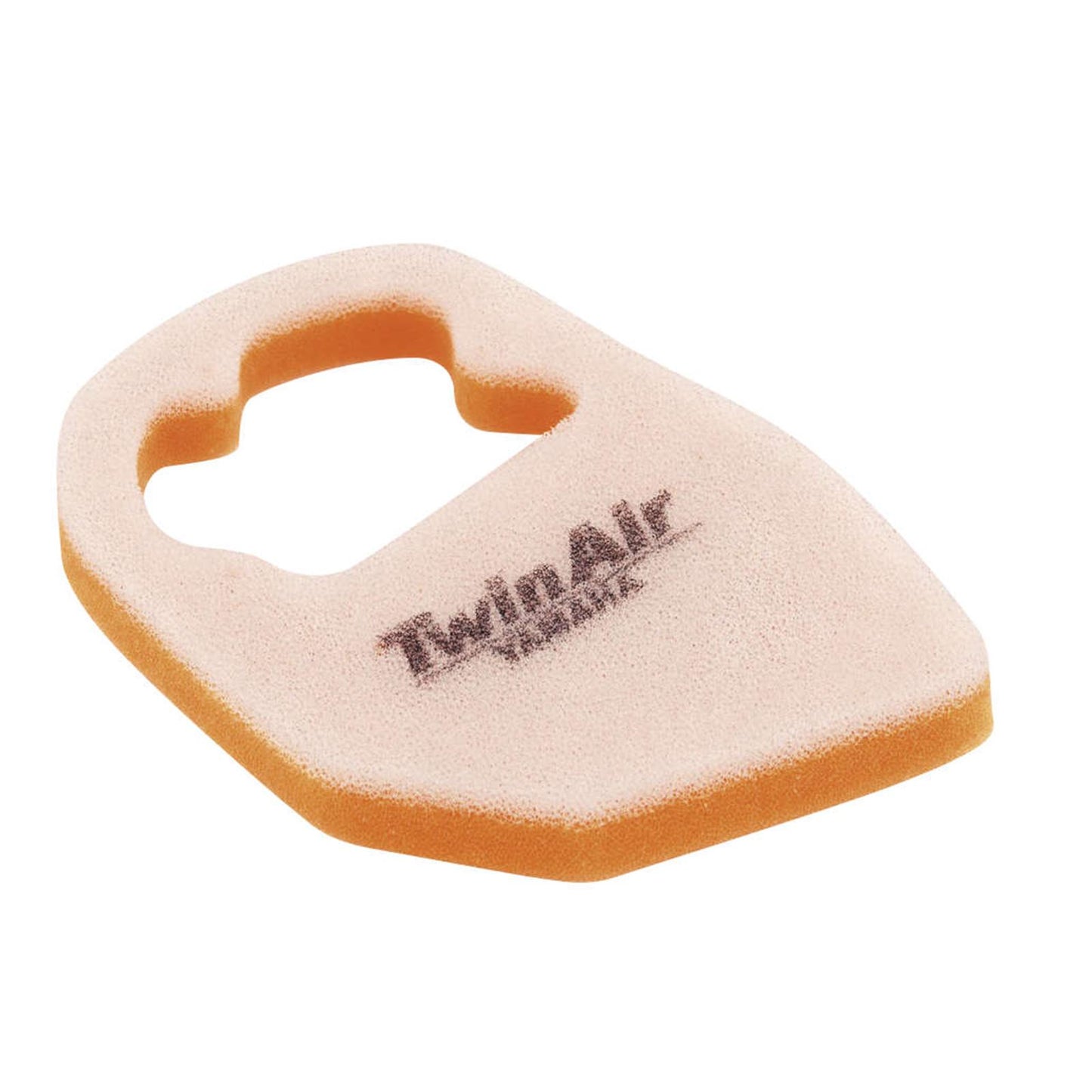 Twin Air Air Filter 152379_279259