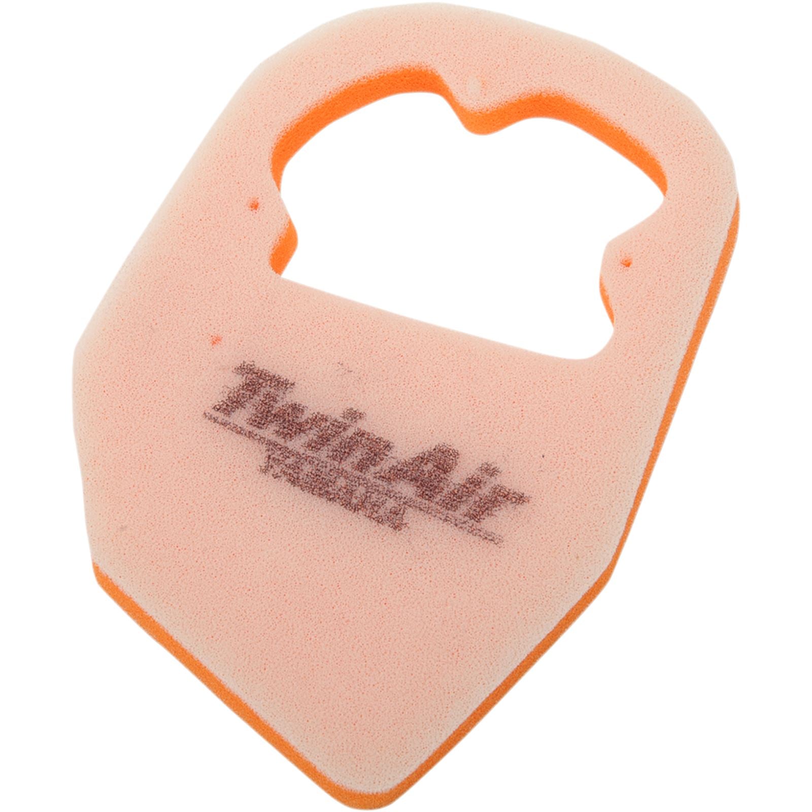 Twin Air Air Filter 152379_486159