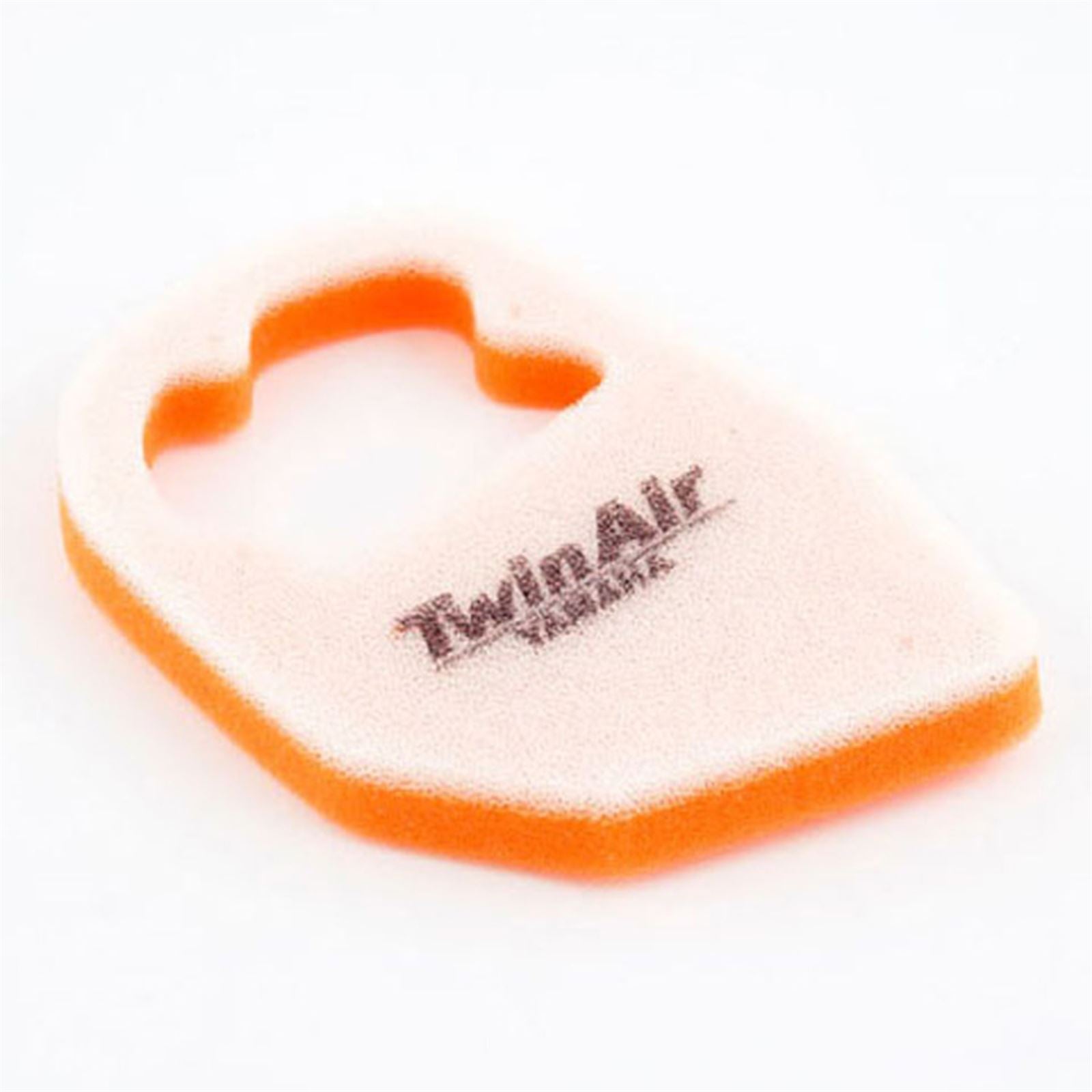 Twin Air Air Filter 152379_598311