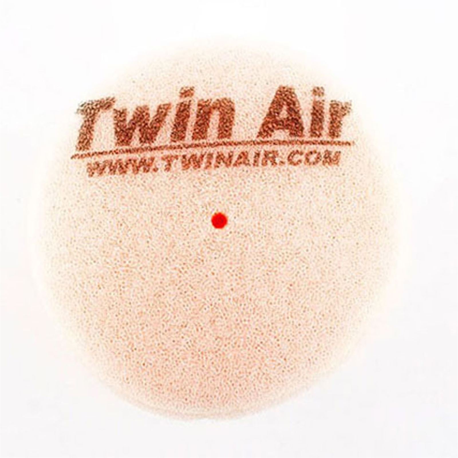 Twin Air Air Filter 153010_598318