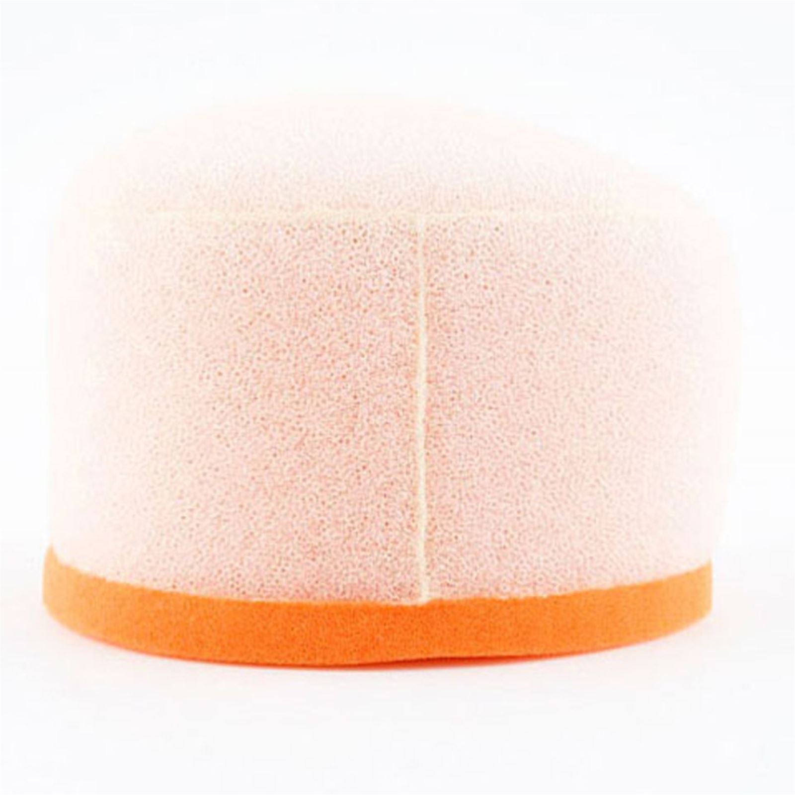 Twin Air Air Filter 153010_598319