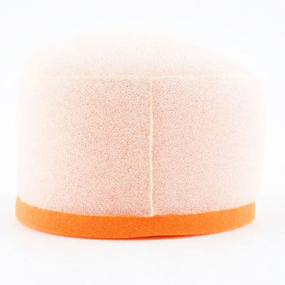 Twin Air Air Filter 153010_598319