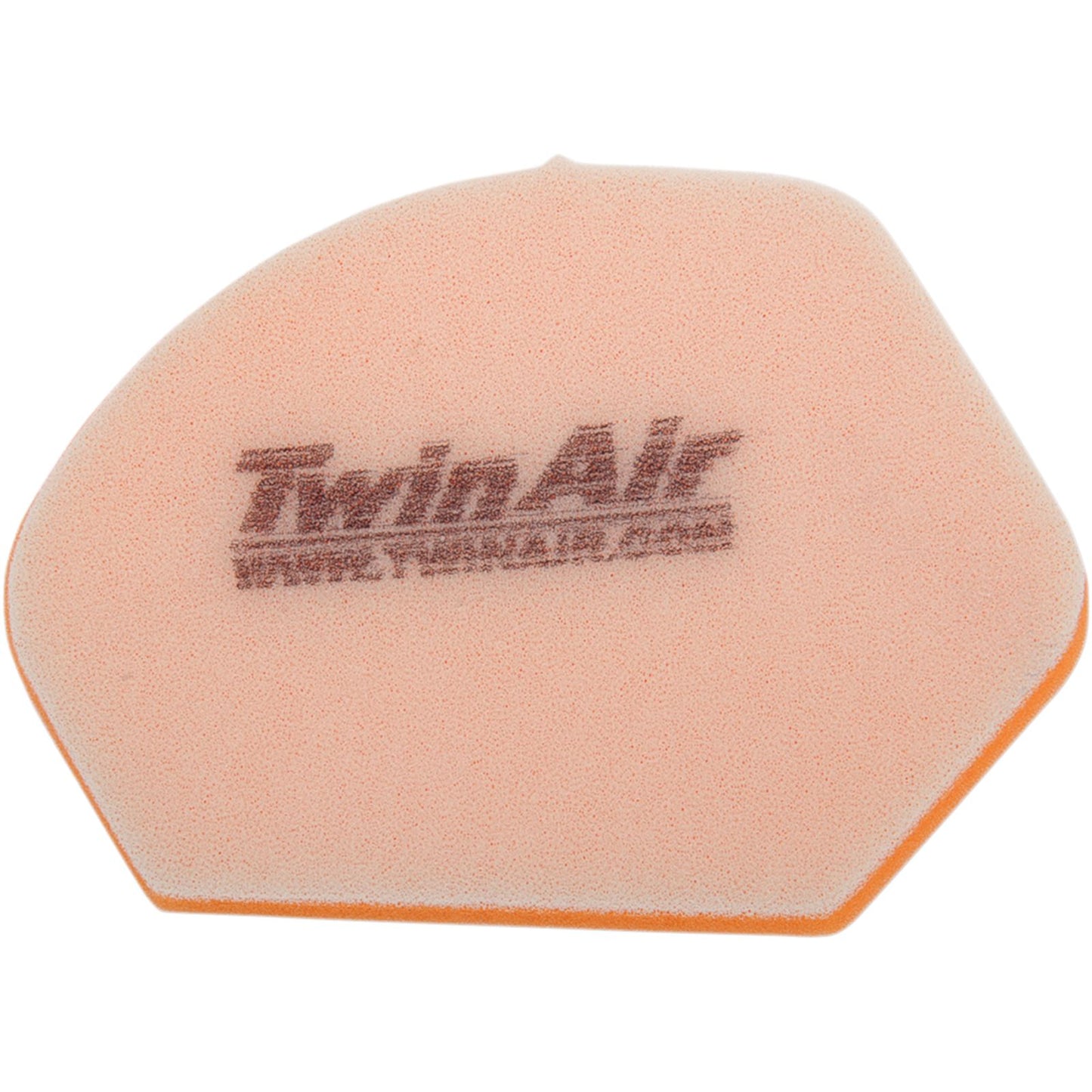 Twin Air Air Filter 153012_485836