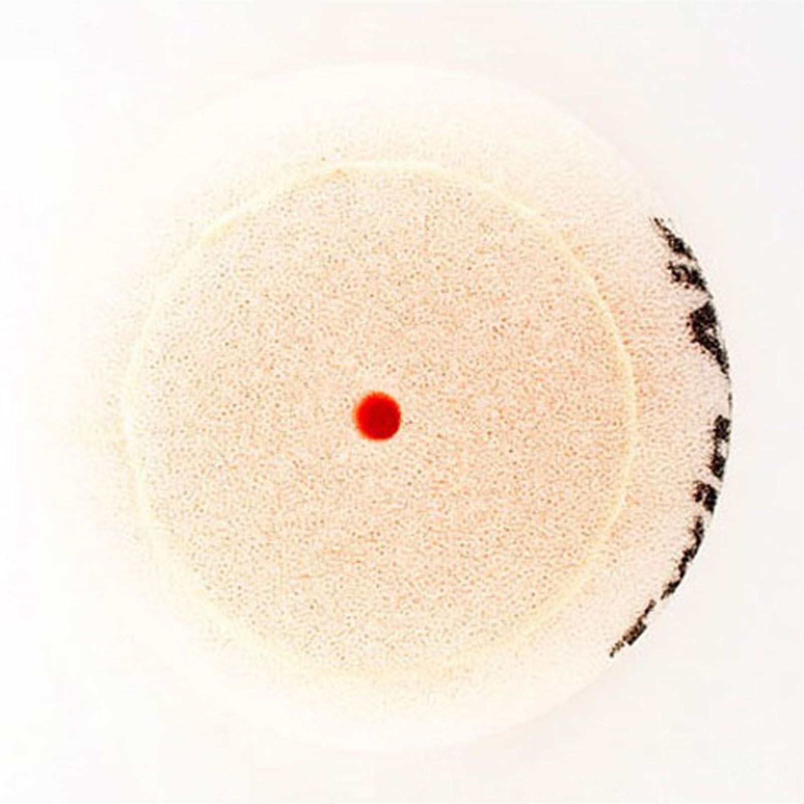 Twin Air Air Filter 153052_598324