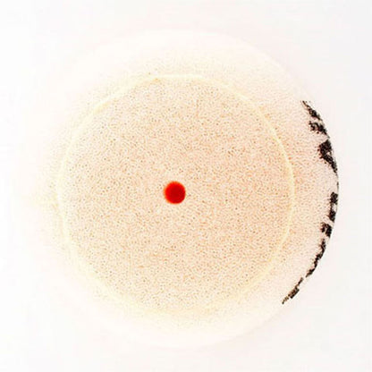 Twin Air Air Filter 153052_598324