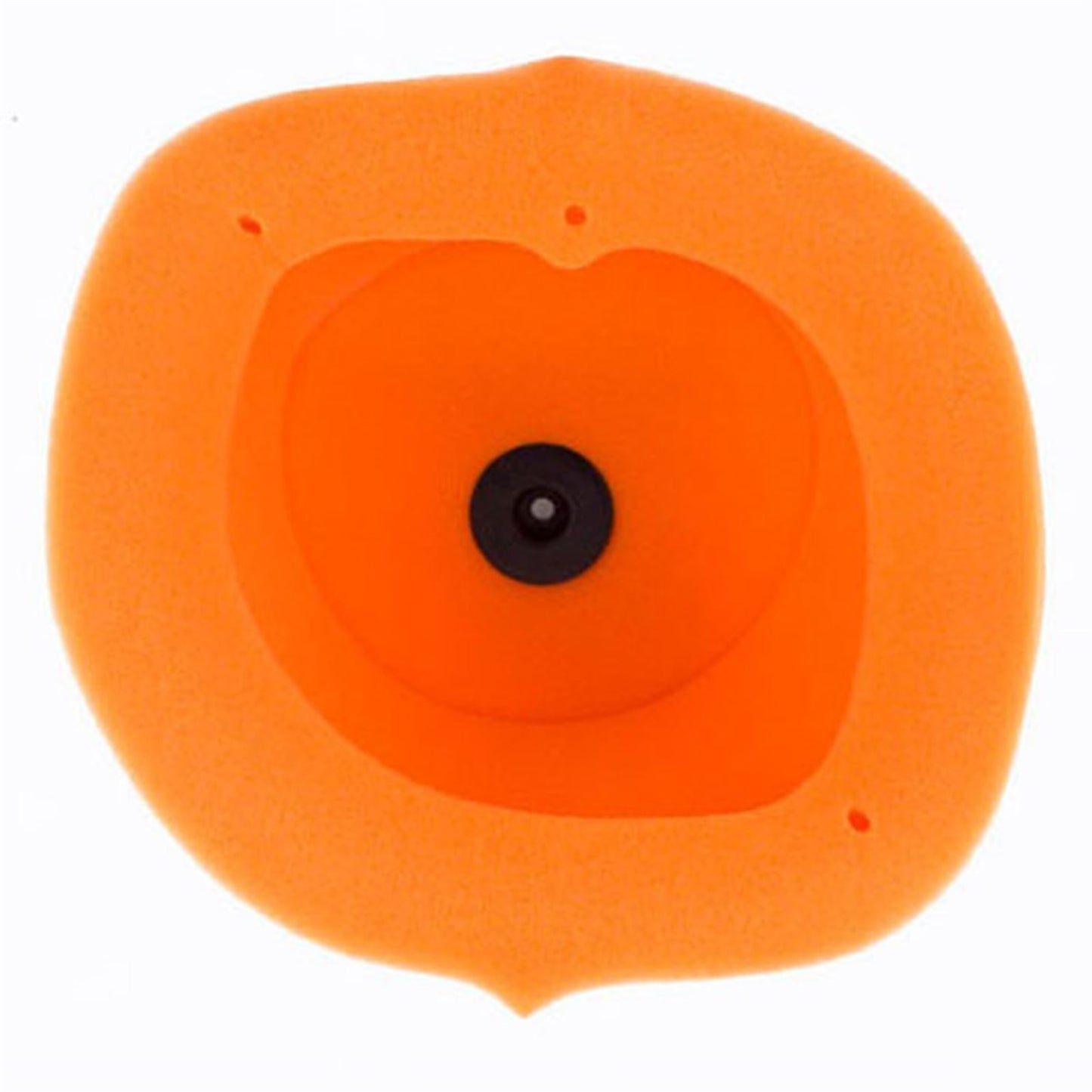 Twin Air Air Filter 153211_598331