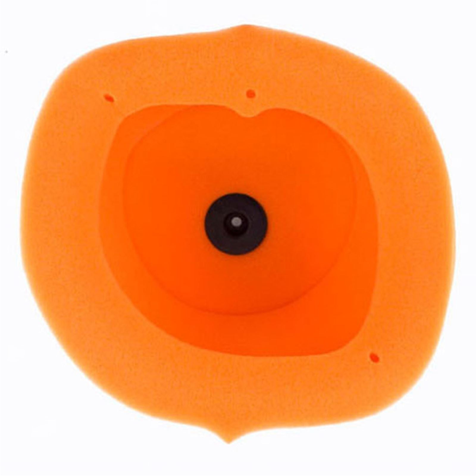 Twin Air Air Filter 153211_598331