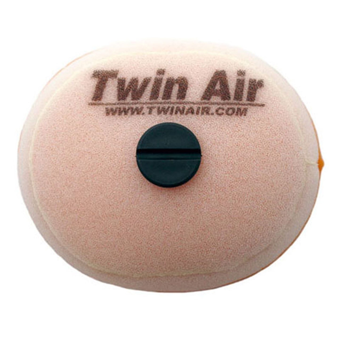 Twin Air Air Filter 154514_598348