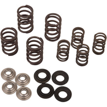 KPMI Spring Kit [MPN: 30-30077]_407641