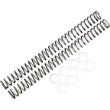 Race Tech Fork Springs - 0.44 kg/mm [MPN: FRSP 414744]_462462