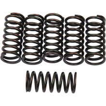 Barnett Performance Clutch Springs - Set of 6 [MPN: 501-25-06043]_348675