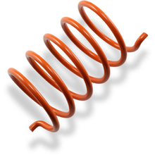 EPI Secondary Spring - Orange [MPN: PDS-12]_383049