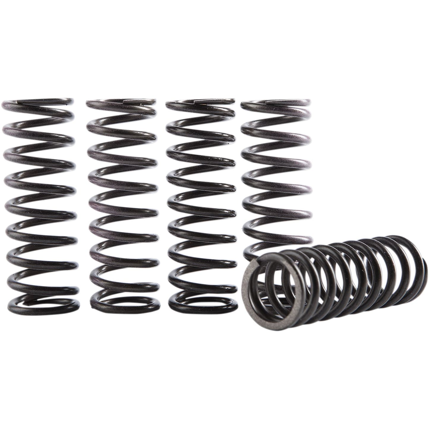 Hinson Clutch Spring Kit [MPN: CS069-5-001]_393977