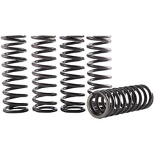 Hinson Clutch Spring Kit [MPN: CS069-5-001]_393977
