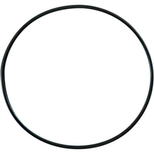 Pro Circuit Replacement O-Ring [MPN: PC4008-0401]_457195