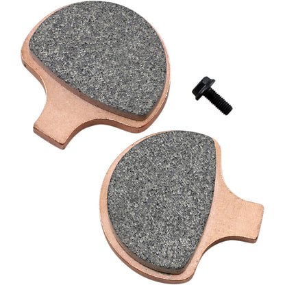 SBS Sintered Brake Pads for Harley-Davidson [MPN: 579H.HS]_471132