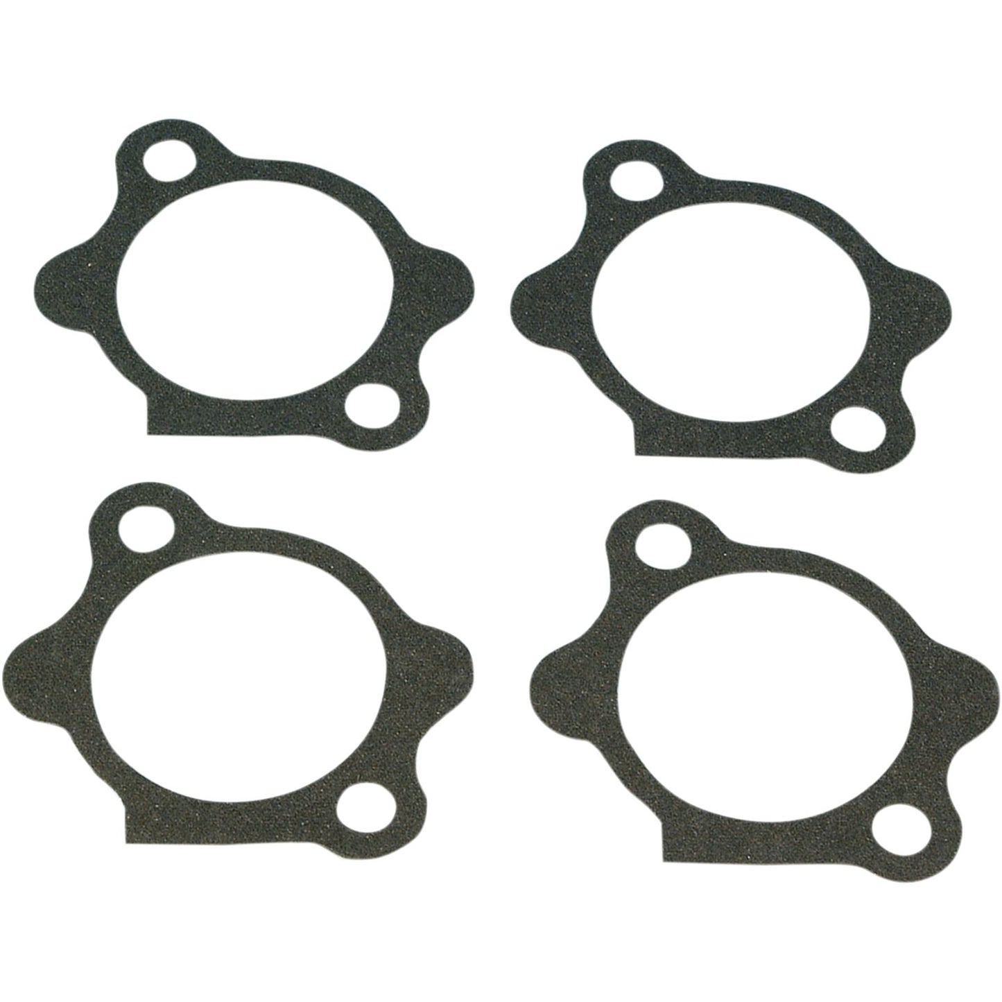 James Gaskets Starter Gasket XL [MPN: 31488-81]_399242