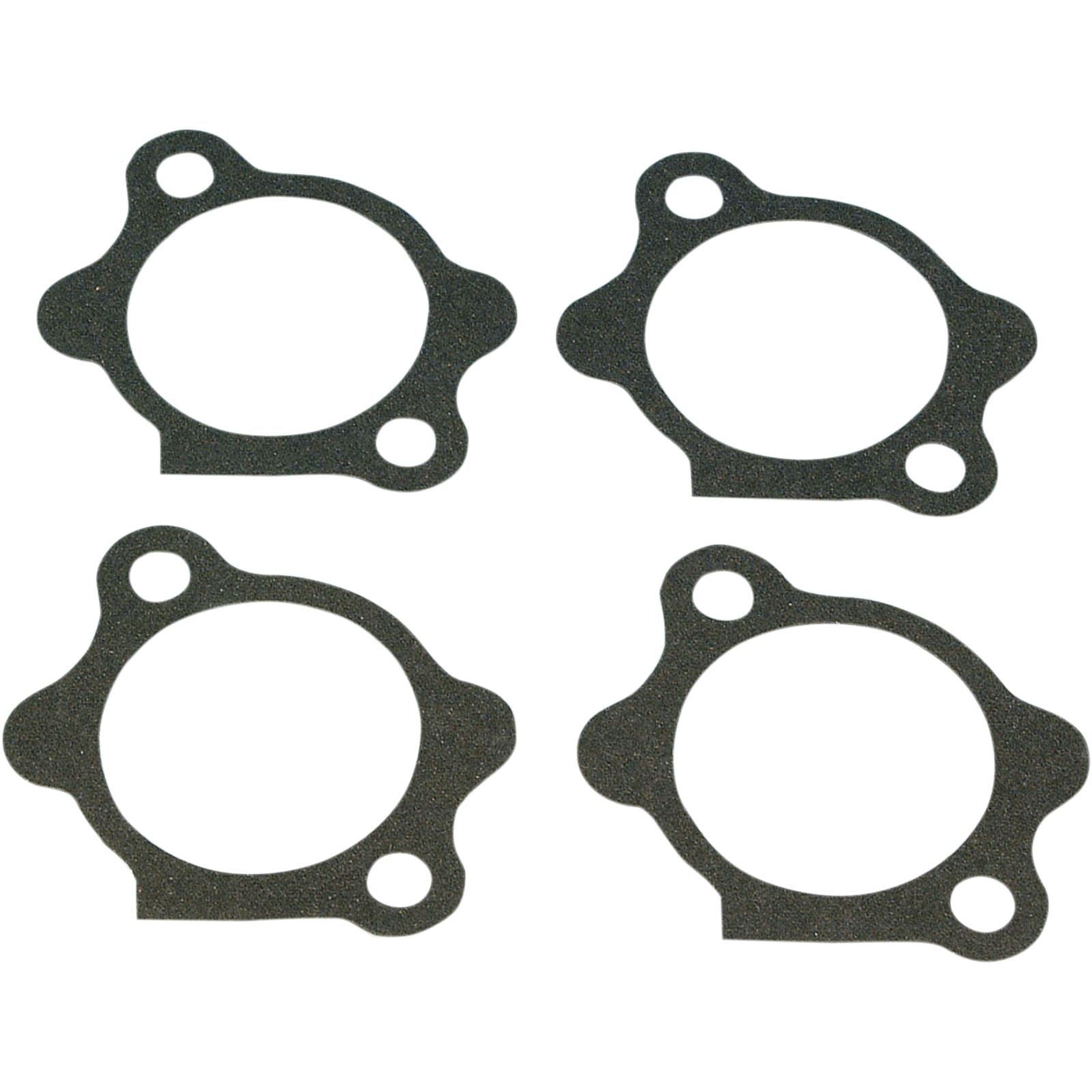 James Gaskets Starter Gasket XL [MPN: 31488-81]_399242