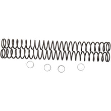 Race Tech Fork Springs - 0.38 kg/mm [MPN: FRSP 444638]_462079