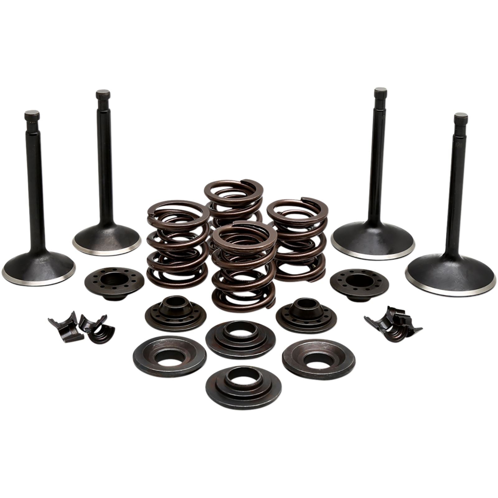 KPMI Complete Valve Kit [MPN: 20-22350]_407546