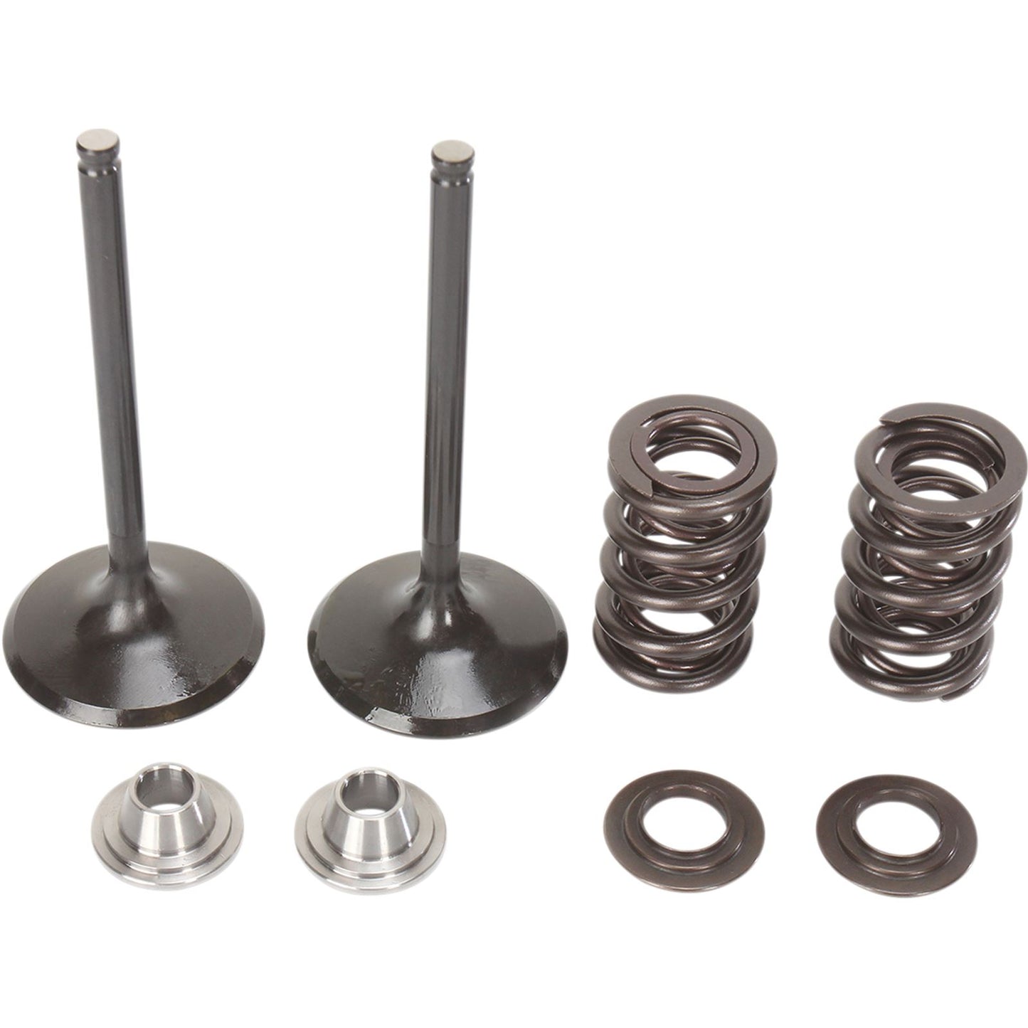 Moose Offroad Valve and Spring Kit [MPN: 0926-2462]_433564
