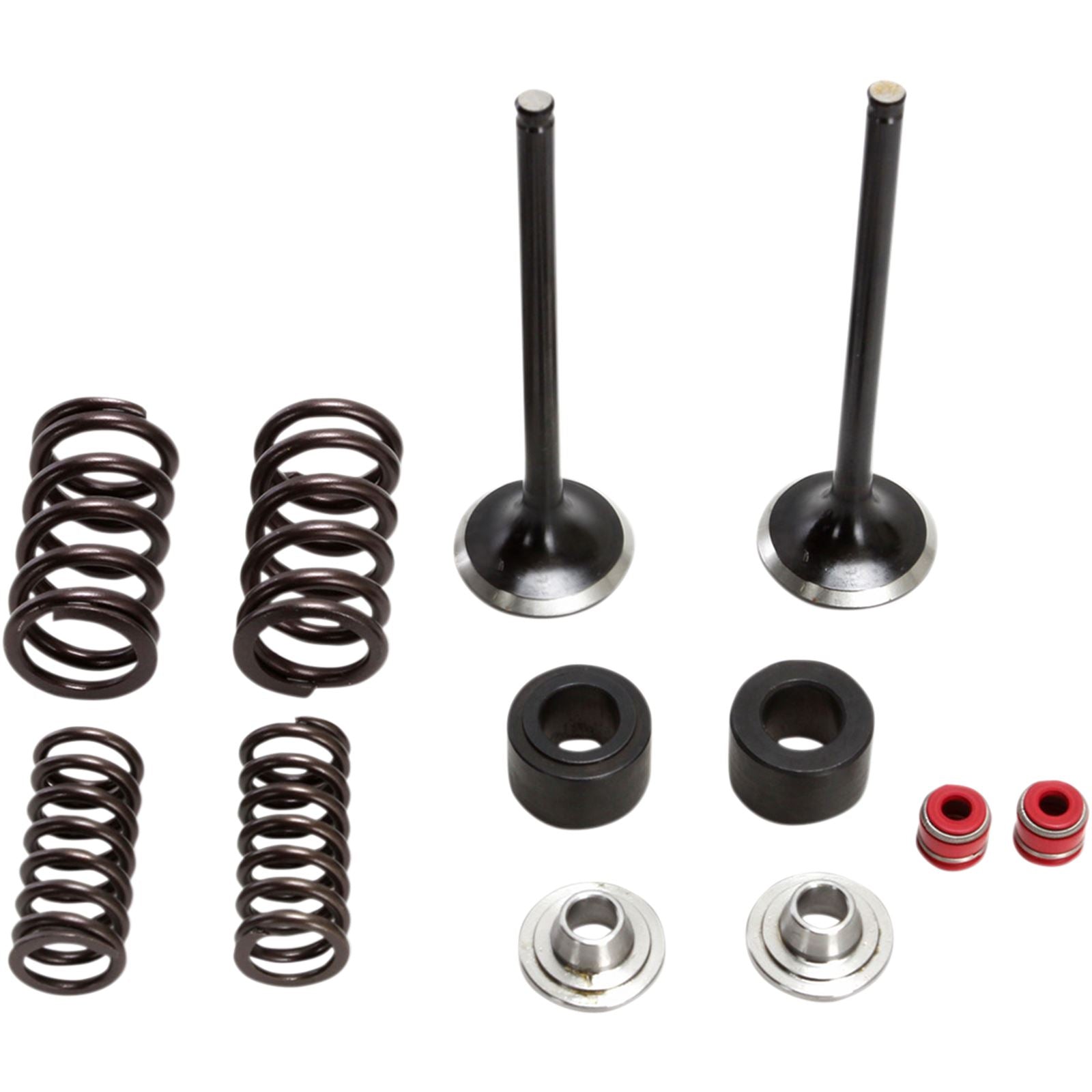 Moose Offroad Valve and Spring Kit 0926-2933_433629
