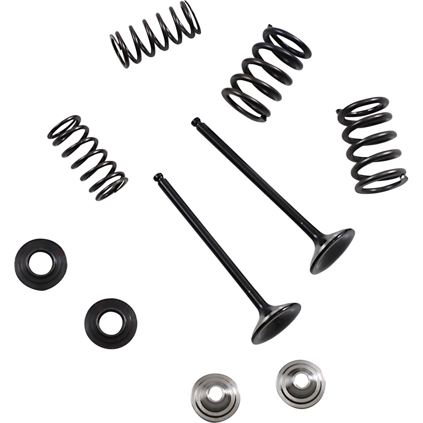 Moose Offroad Valve and Spring Kit 0926-3193_1042219