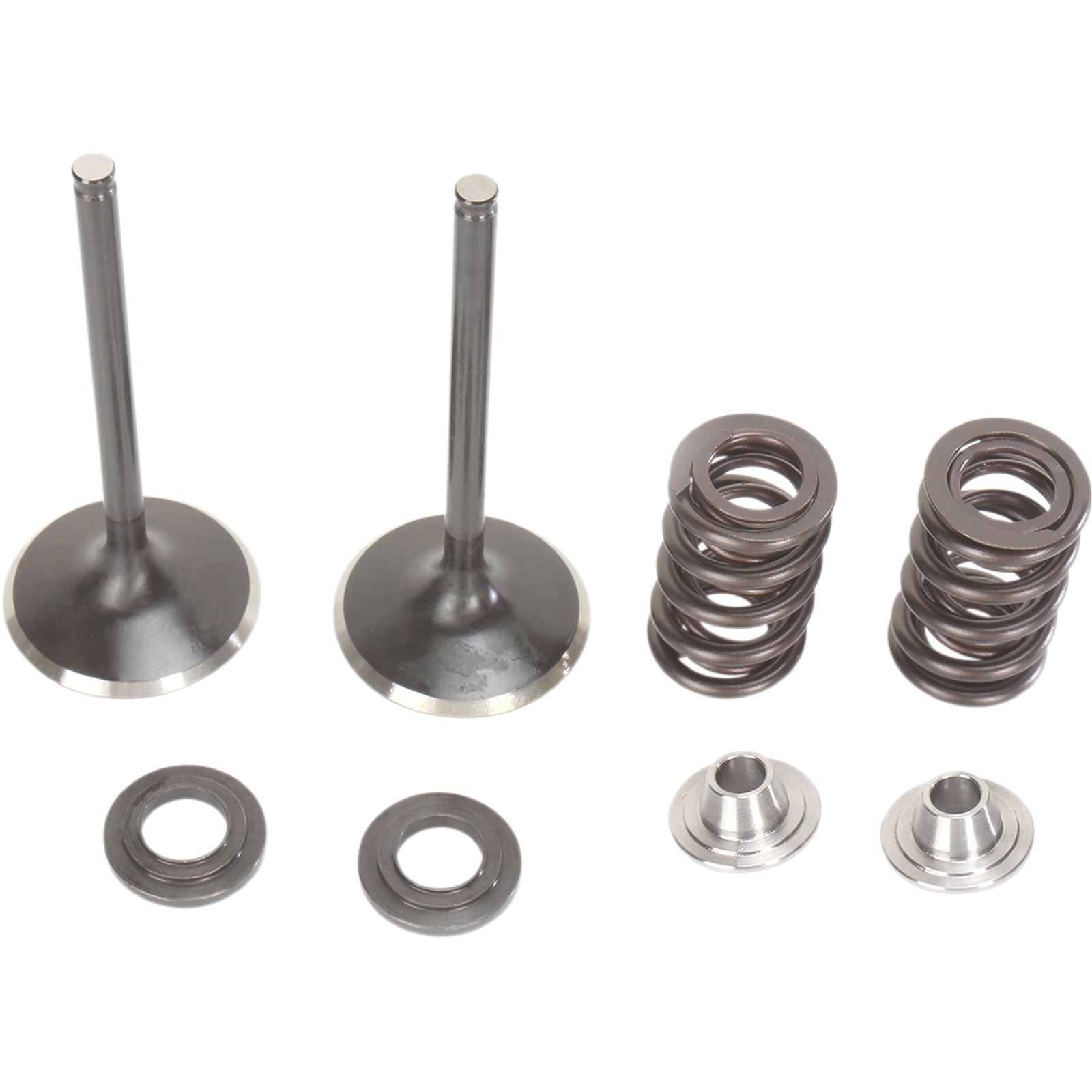 Moose Offroad Valve and Spring Kit 0926-2444_433549