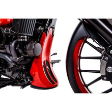 Trask Performance Frame Cover - Raked - '09-13 FL [MPN: TM-2021]_485329