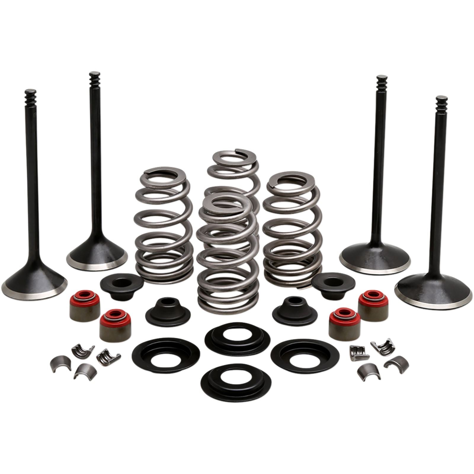 KPMI Complete Valve Kit fits H-D Evolution/1200 [MPN: 20-22950]_407554