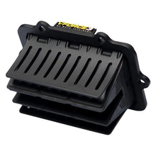 Moto Tassinari Reeds V-Force Ski-Doo 800/850 [MPN: V3122R-873K-2]_599964