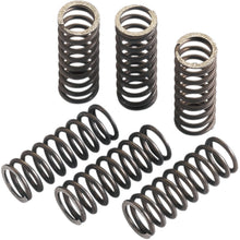 Moose Offroad Clutch Springs FHDS2-6_438635