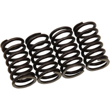 Moose Offroad Clutch Springs FHDS102-4_438633