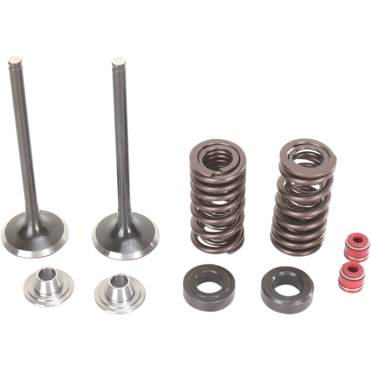 Moose Offroad Valve and Spring Kit 0926-2433_433539