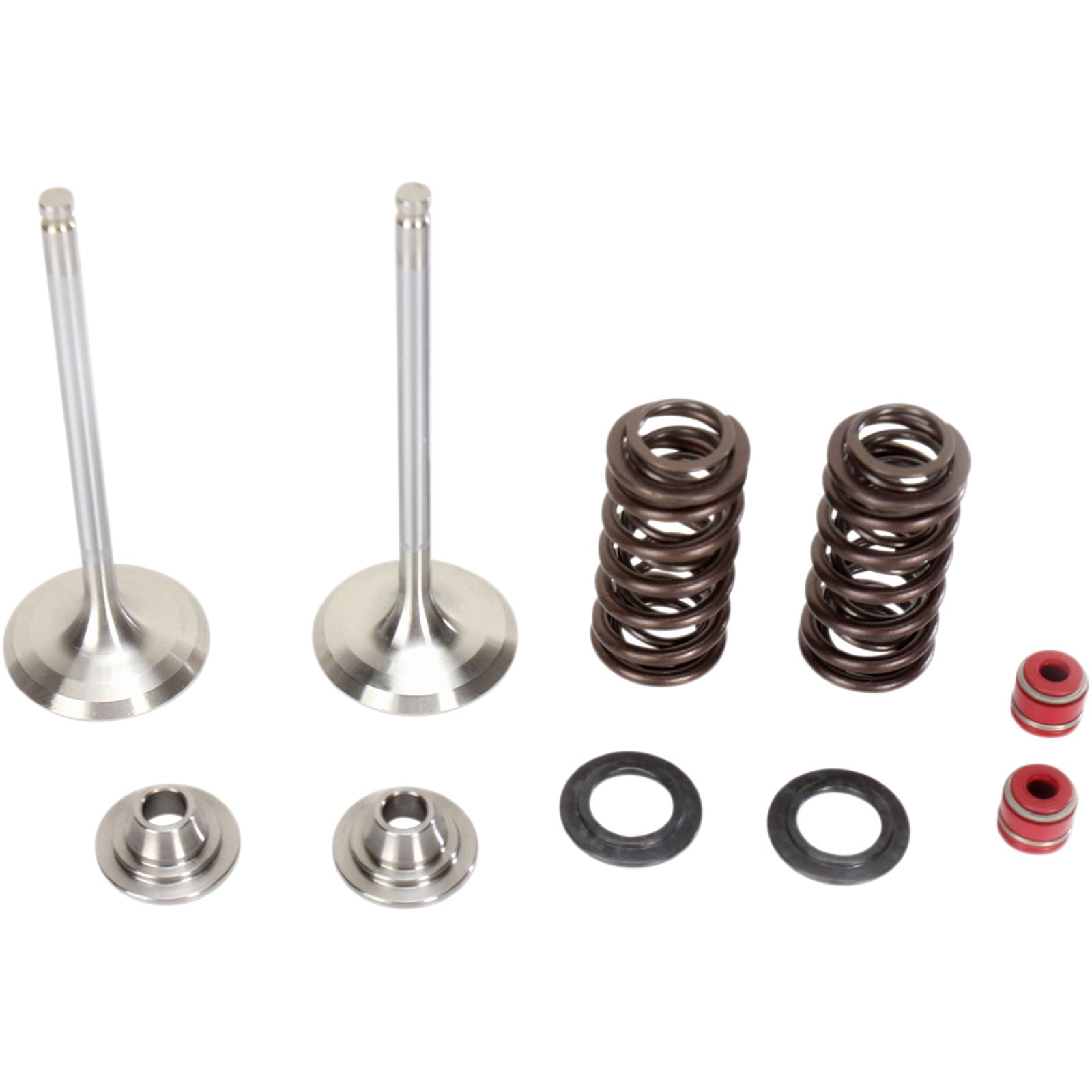 Moose Offroad Valve and Spring Kit 0926-2460_433562