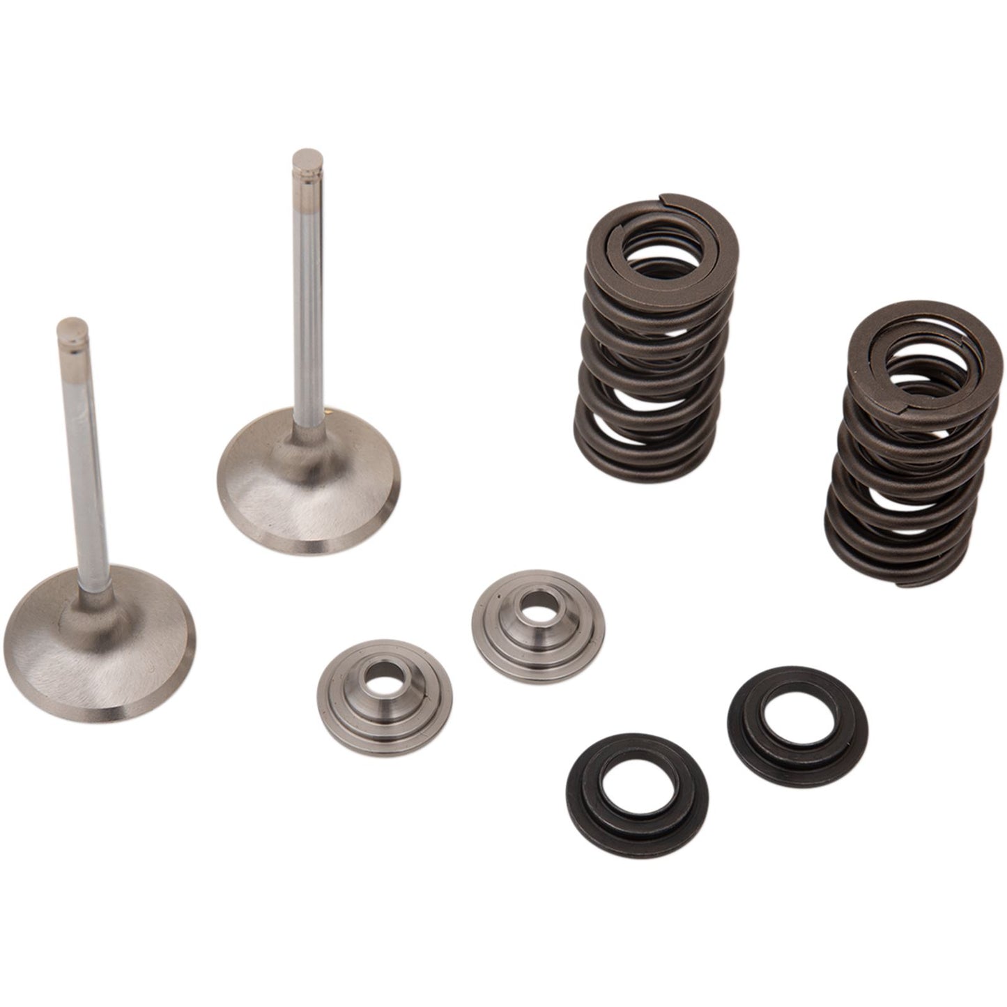 Moose Offroad Valve and Spring Kit 0926-3195_433637