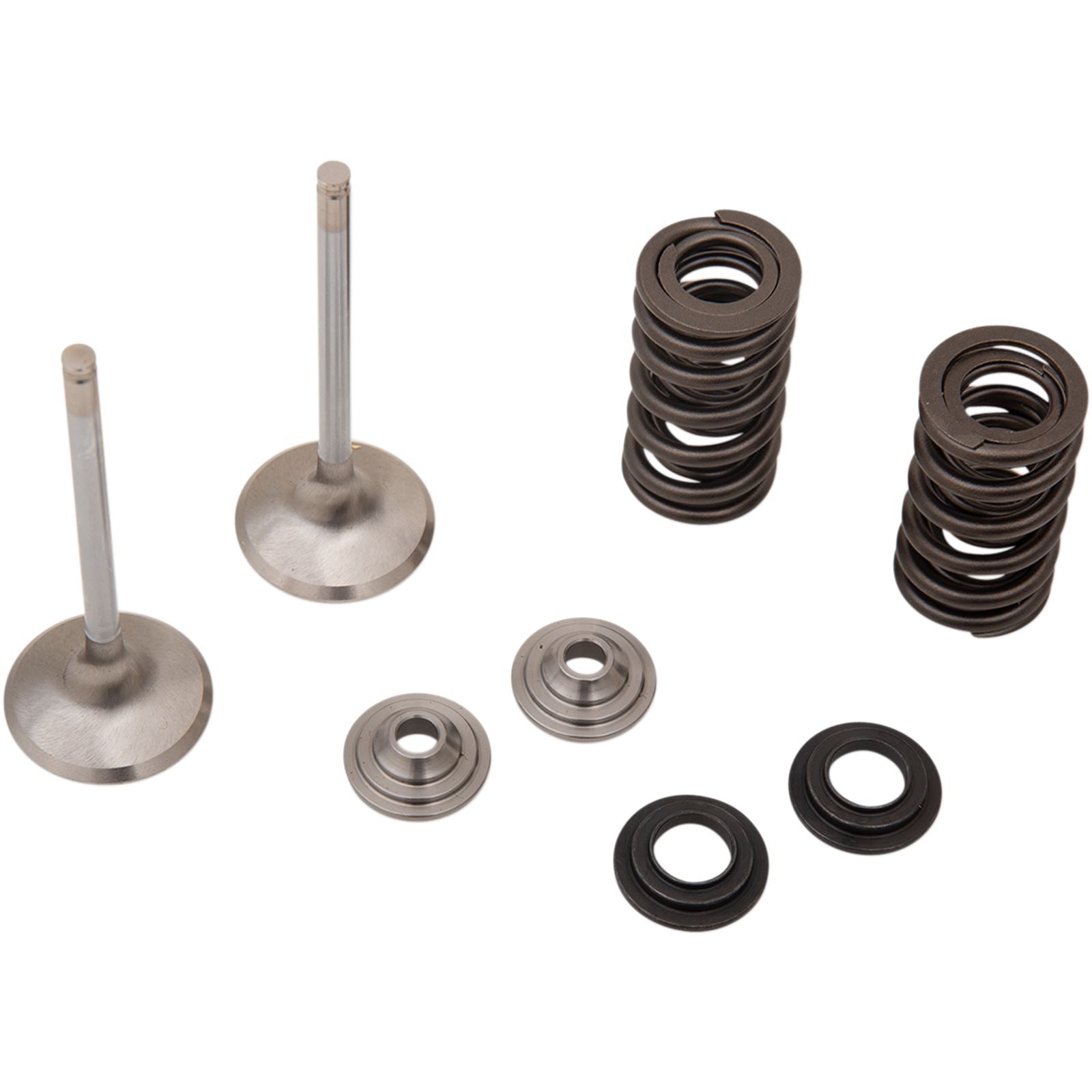 Moose Offroad Valve and Spring Kit 0926-3195_433637