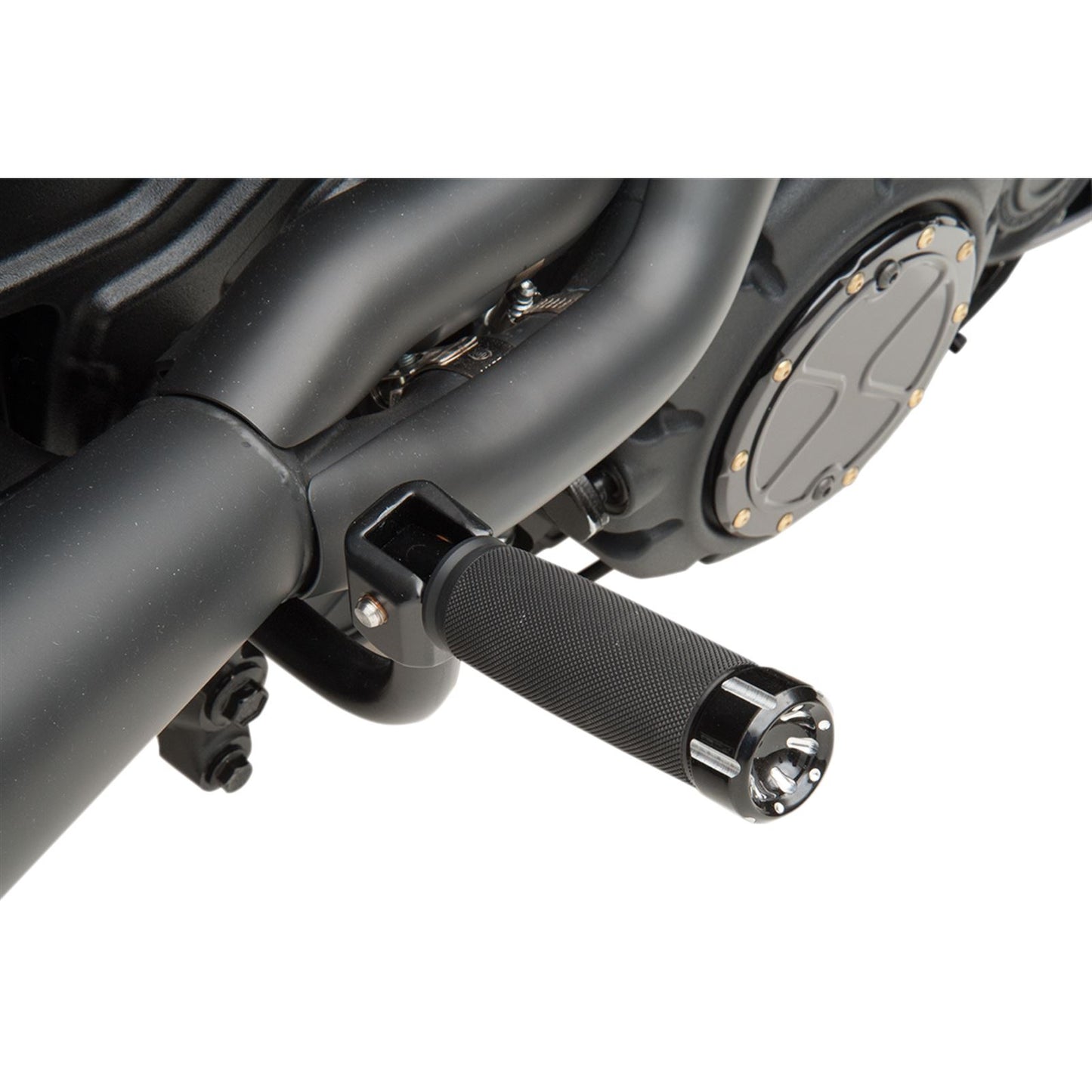Trask Performance Passenger Peg Mount [MPN: TM-6101BK]_485454