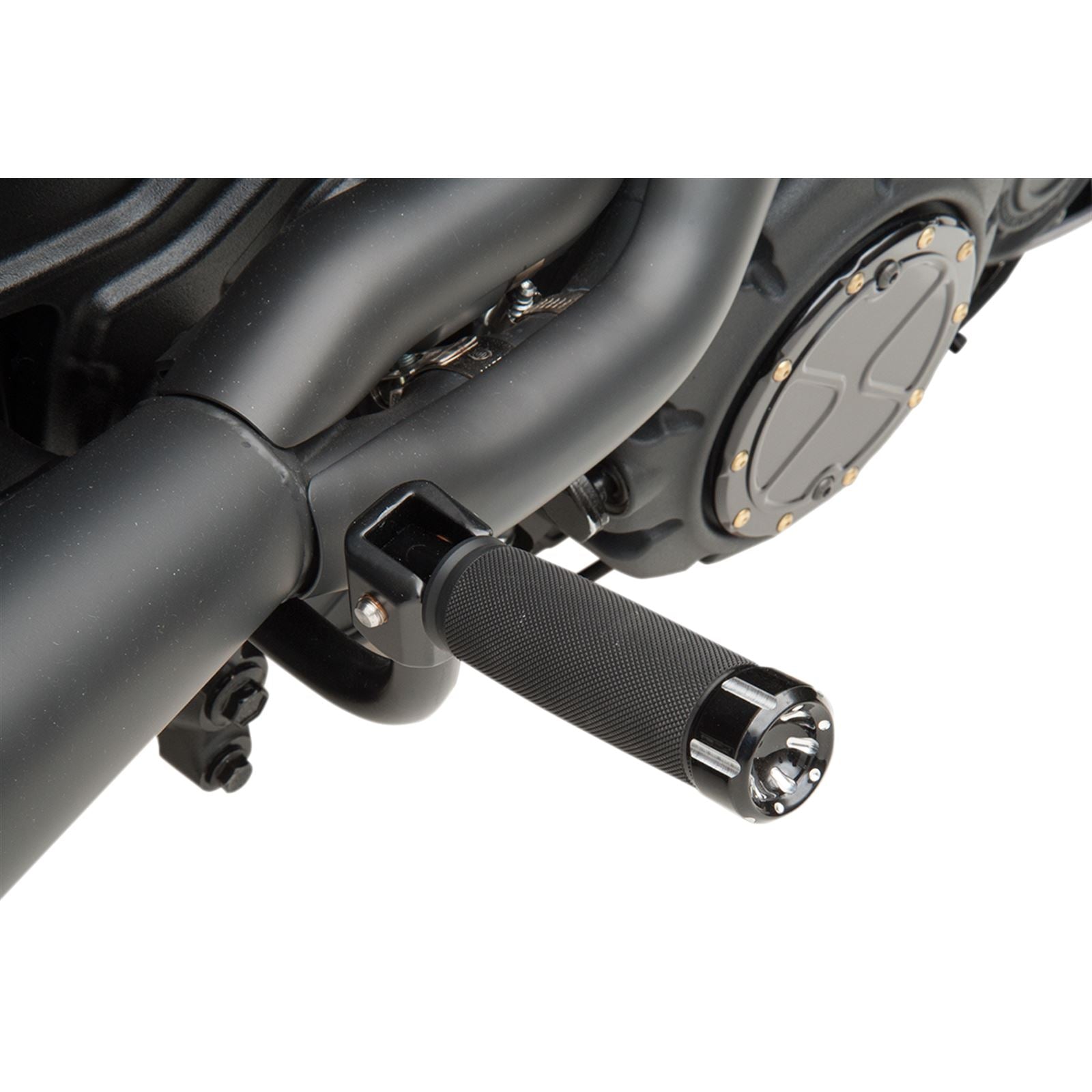 Trask Performance Passenger Peg Mount [MPN: TM-6101BK]_485454