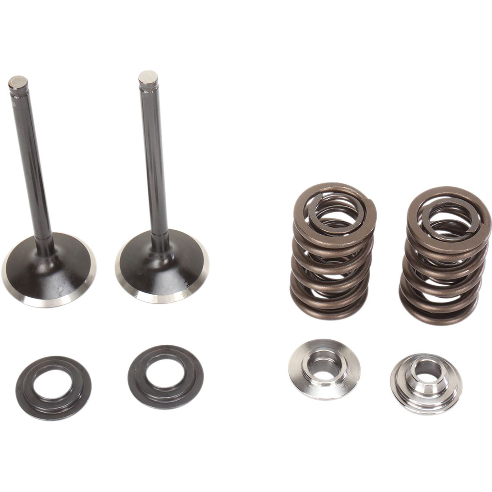 Moose Offroad Valve and Spring Kit 0926-2452_433556