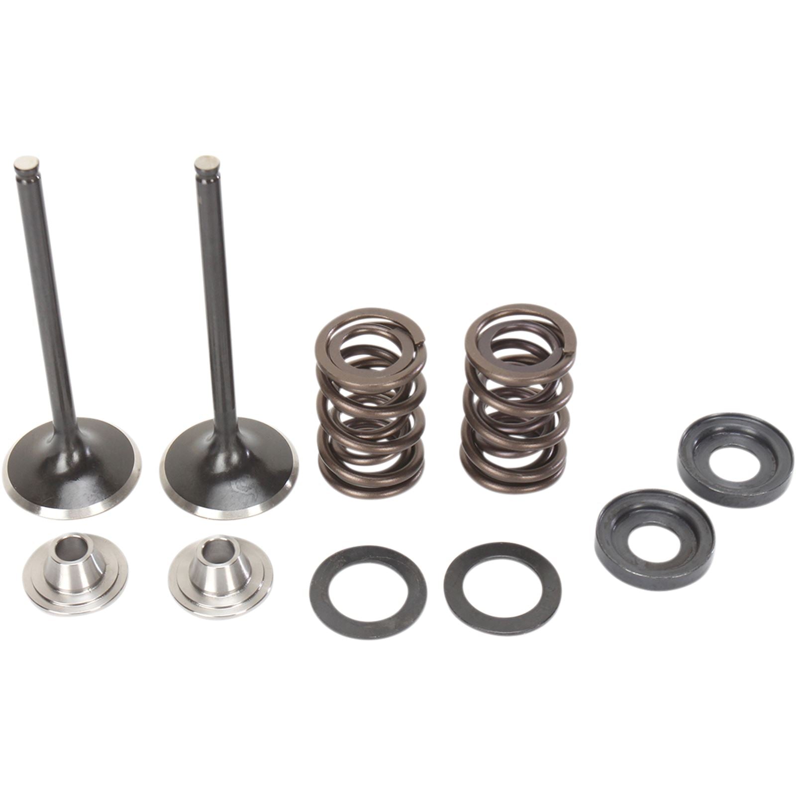 Moose Offroad Valve and Spring Kit 0926-2464_433566