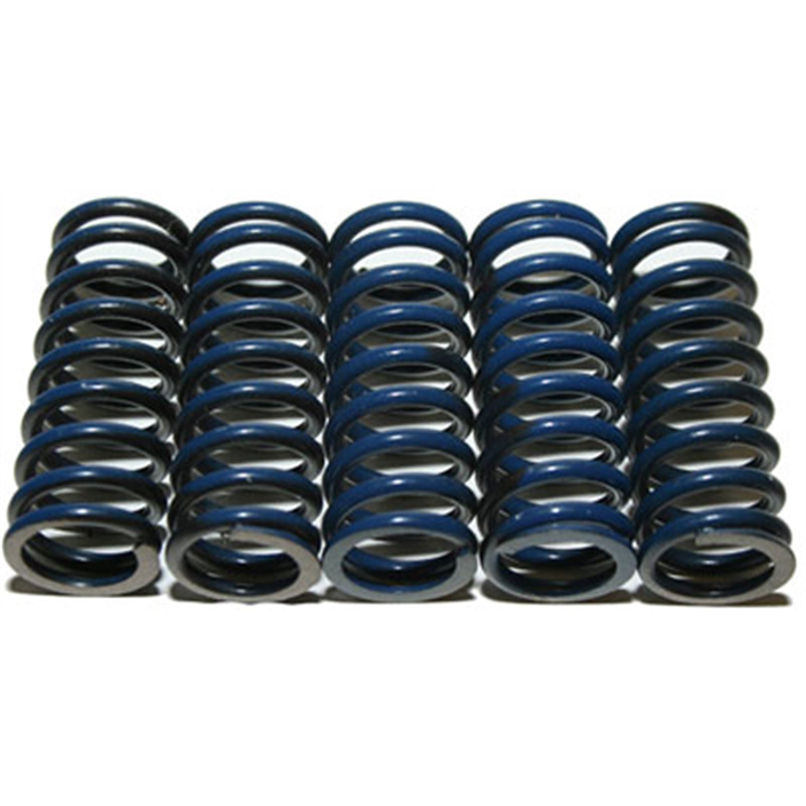 Hinson High Temp Springs 5 Springs [MPN: CS294-5-0109]_293229