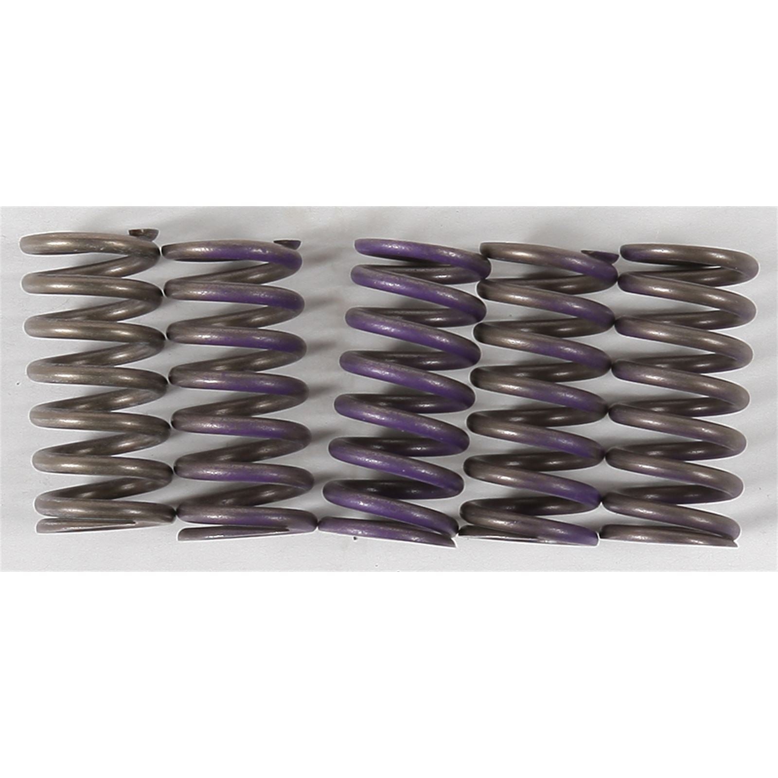 Hinson High Temp Springs 5 Springs [MPN: CS341-5-0311]_293230