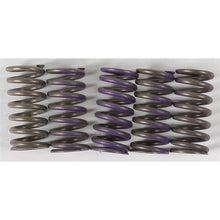 Hinson High Temp Springs 5 Springs [MPN: CS341-5-0311]_293230