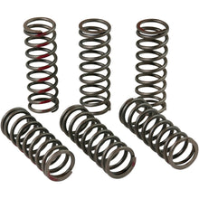 Pro Circuit Clutch Springs [MPN: CSH13450-CS]_457256