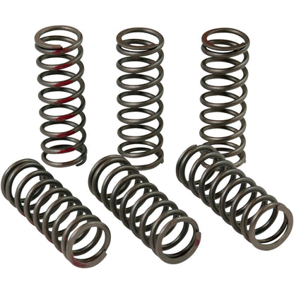 Pro Circuit Clutch Springs [MPN: CSH13450-CS]_457256