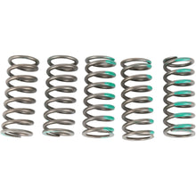 Pro Circuit Springs Clutch KX450F [MPN: CSK09450-CS]_457245