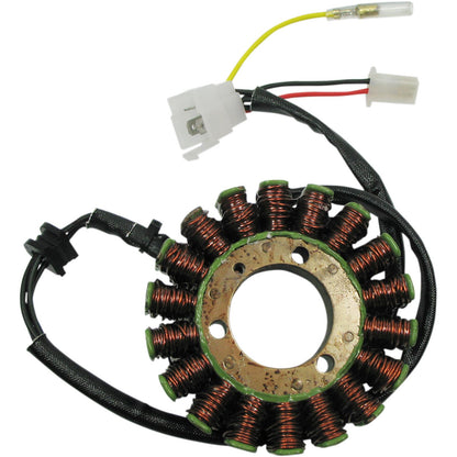 Ricks Stator [MPN: 21-0096]_465848
